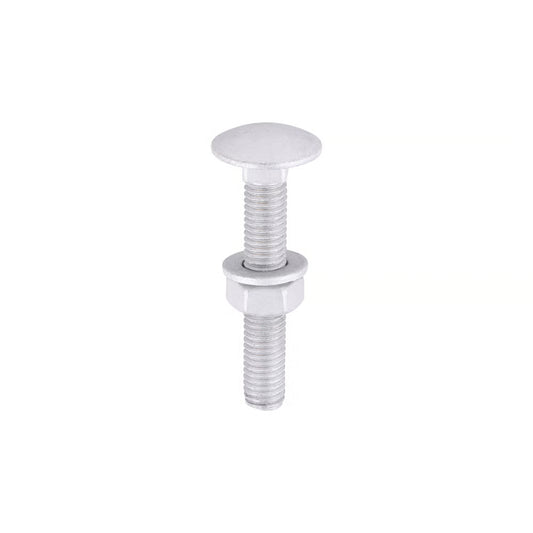 Dome Head Carriage Bolt - M8 Gauage