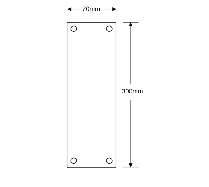 ASEC Victorian 70mm Wide Polished Brass Finger Plate
