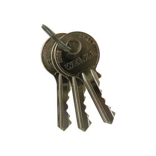 Gate Lock Cylinder
