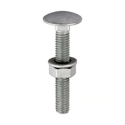 Dome Head Carriage Bolt - M6 Gauage