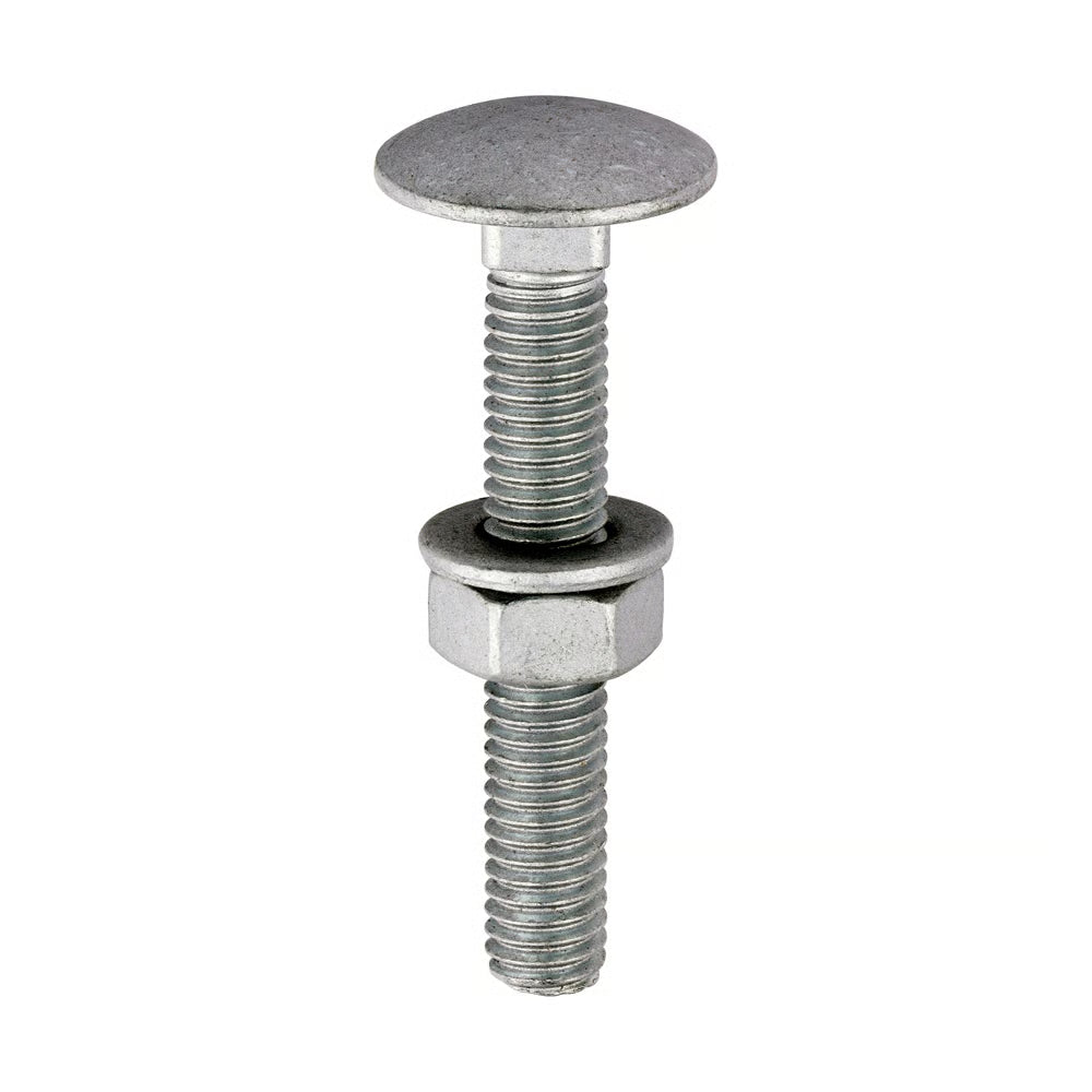 Dome Head Carriage Bolt - M6 Gauage