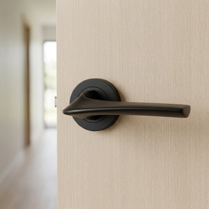 Master lever on round rose