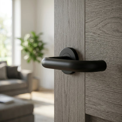 Grade 304 Nera 19mm Safety Lever on Sprung Push-on Round Rose