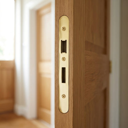 Forend Strike & Fixing Pack To Suit Din Euro Sash/Bathroom Lock