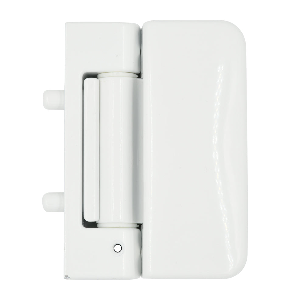 Evolution 3D Security Flag Hinge