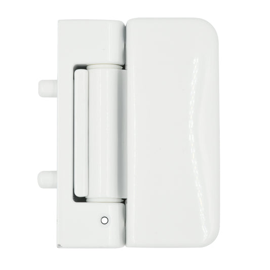 Evolution 3D Security Flag Hinge