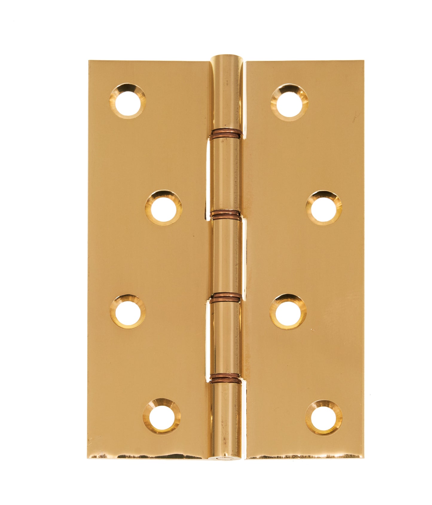 Double Phosphur Bronze Washered Hinge