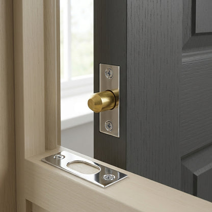 Door Security Bolt