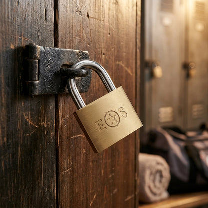 Standard Shackle Brass Padlock