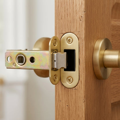 Heavy Duty Tubular Latch
