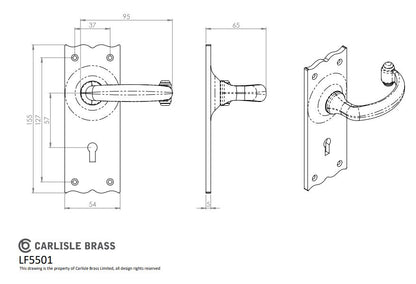 Traditional Lever on Backplate