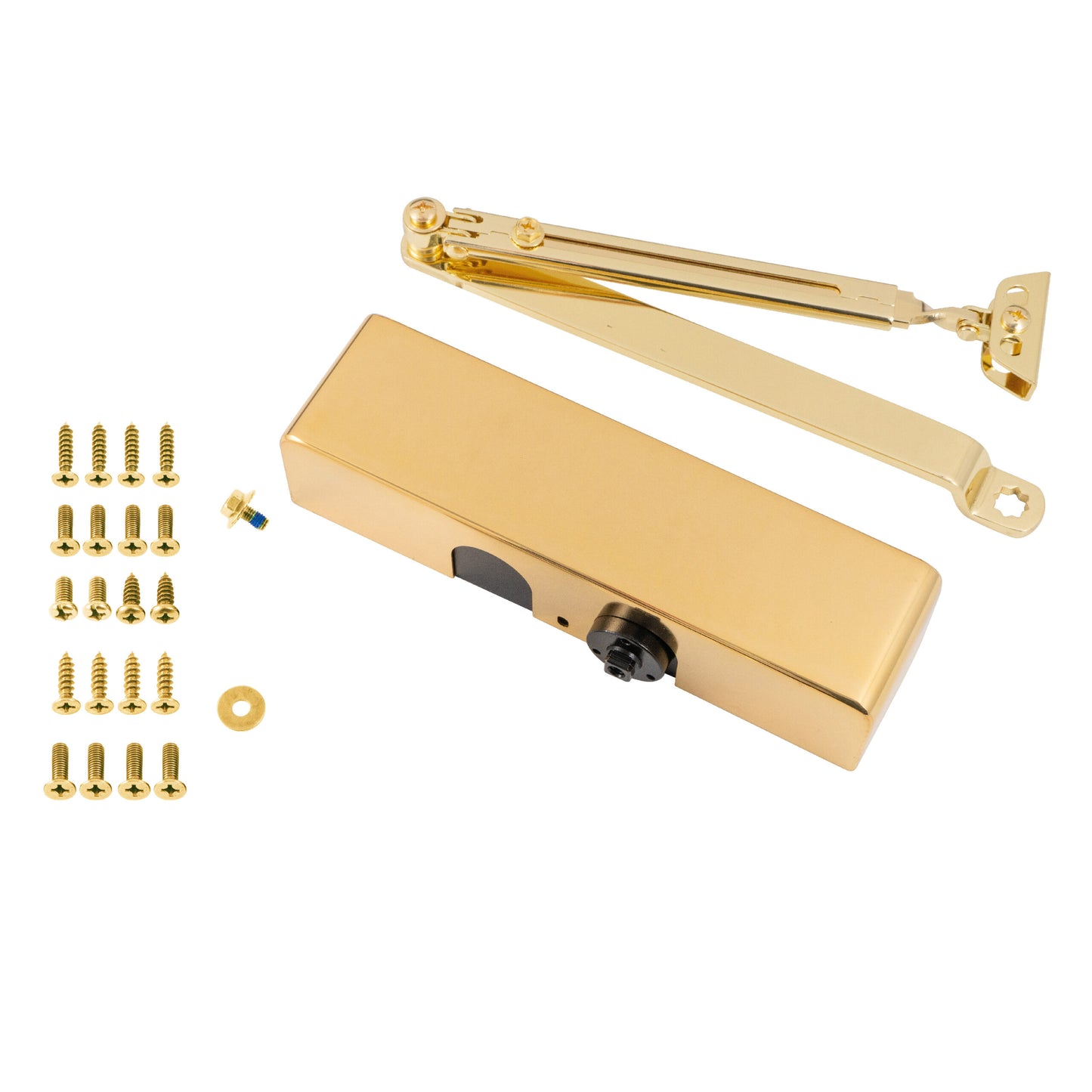 Polished Brass 93 Series 2-4 Door Closer