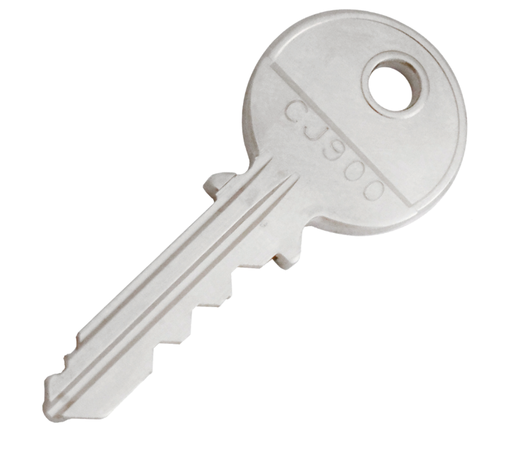 Extractor Key for Omega 100 Locks
