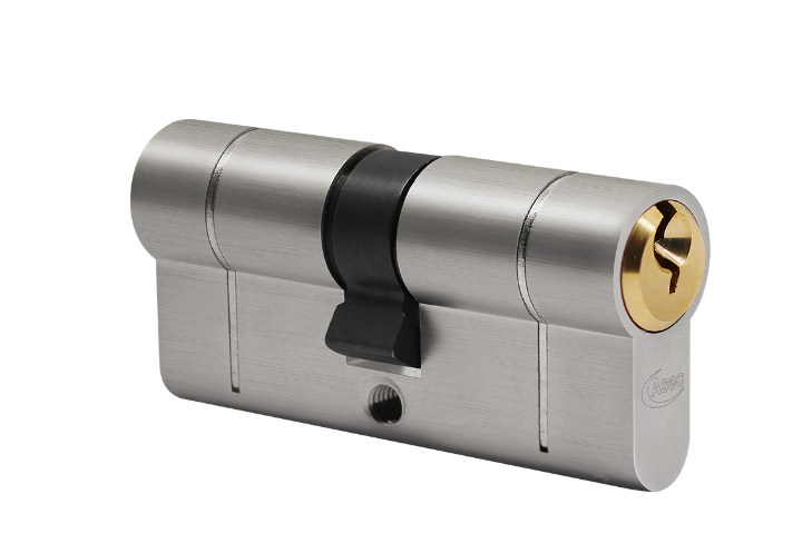 Vital 6 Pin Double Euro Dual Finish Snap Resistant Cylinder
