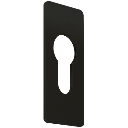 Euro Escutcheon