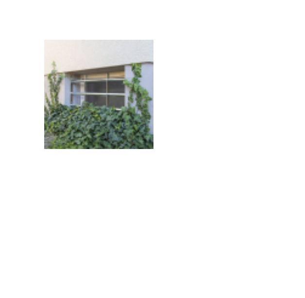 ABUS Expandable Window Grille