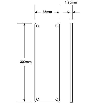 ASEC 75mm Wide Stainless Steel `Push` Finger Plate