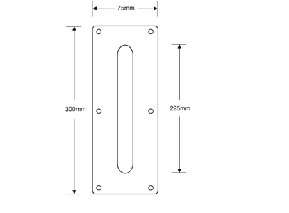 ASEC Plate Mounted 75mm Stainless Steel Pull Handle
