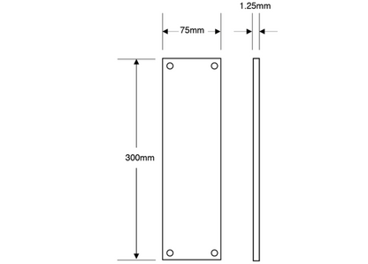 ASEC Push Pad Panic Latch