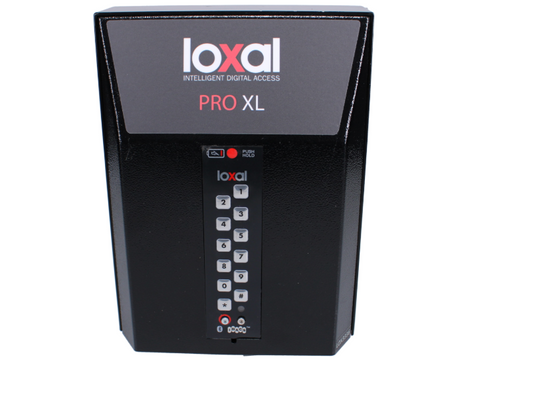 LOXAL Smart Key Safe Face Fix Pro Extra Large FFPXL