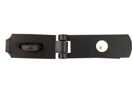 250mm Swivel Hasp & Staple