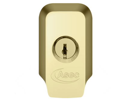 ASEC High Security Rim Cylinder Pull With Cylinder