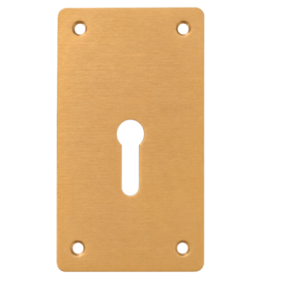 ASEC Screw On 45mm x 70mm UK Mortice Escutcheon