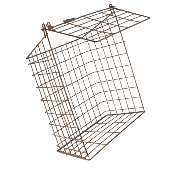 ASEC 62M Medium Letter Cage