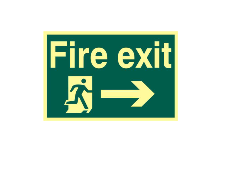 ASEC `Fire Exit` 200mm x 300mm PVC Self Adhesive Photo luminescent Sign