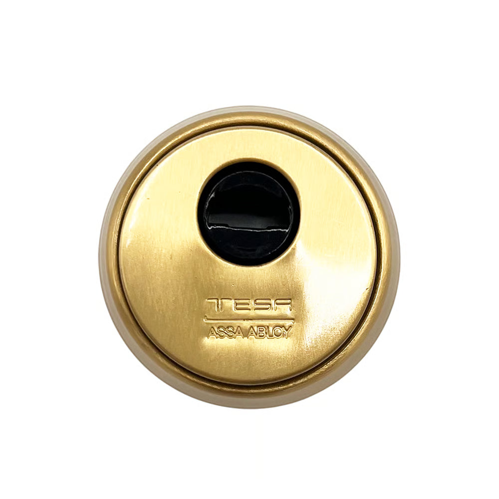 TLB Series 3 Point Latch 10 Pin Bolts U-Rail 20mm Faceplate Multipoint Door Lock - Key Wind