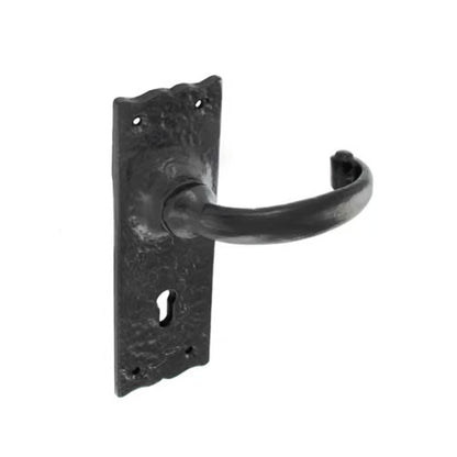 Antique Black Lever On Plate Furniture