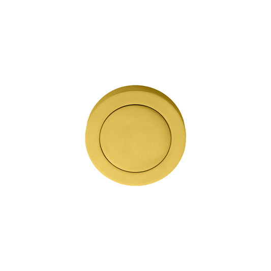 Blank Escutcheon
