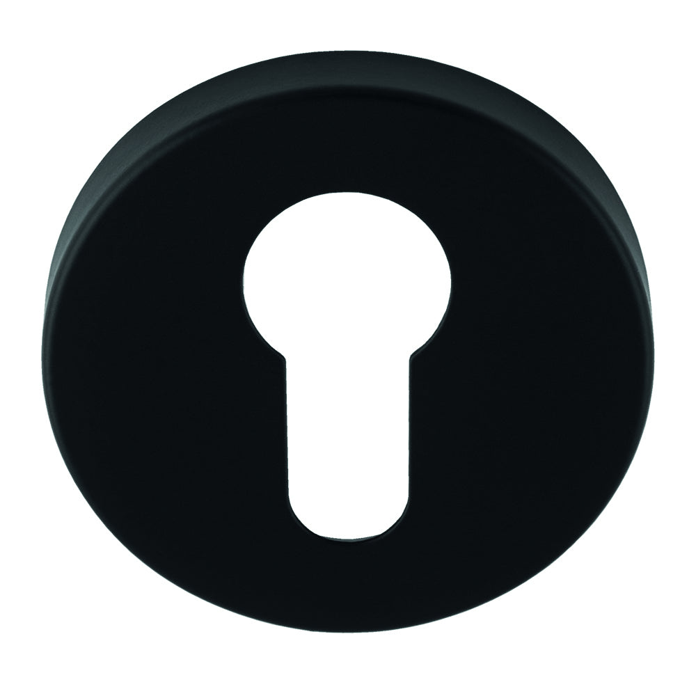 Stainless Steel Escutcheon