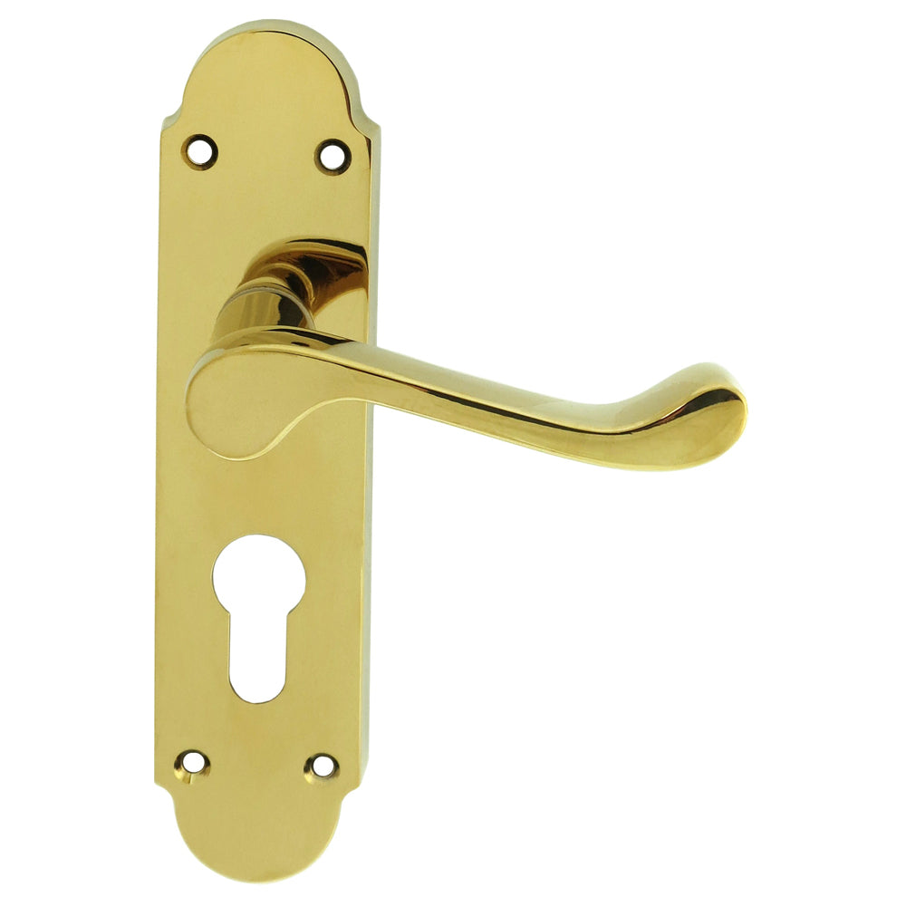 Oakley Lever on Backplate
