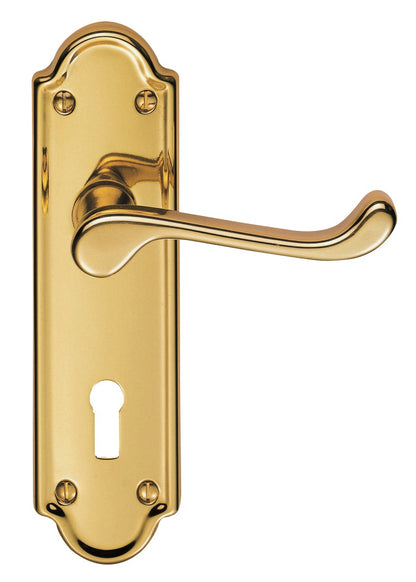 Ashtead Lever on Backplate