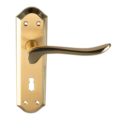 Lytham Lever on backplate