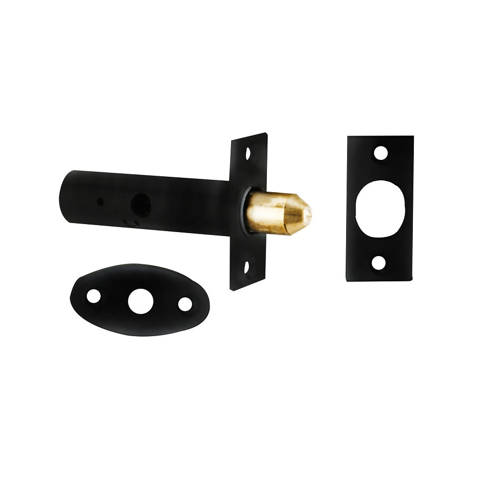 Door Security Bolt