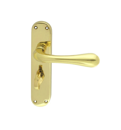 Astro Lever on Backplate