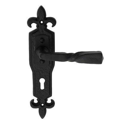 Barley Twist Lever on Gothic Backplate
