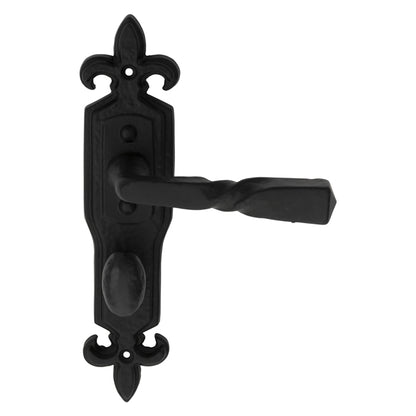 Barley Twist Lever on Gothic Backplate