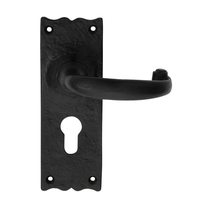 Traditional Lever on Backplate