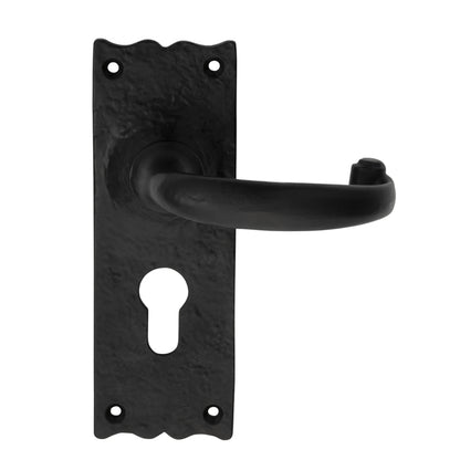 Traditional Lever on Backplate
