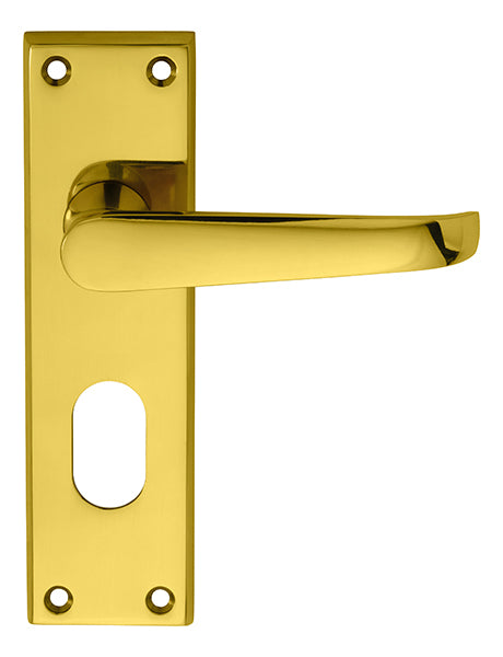 Victorian Lever on Backplate