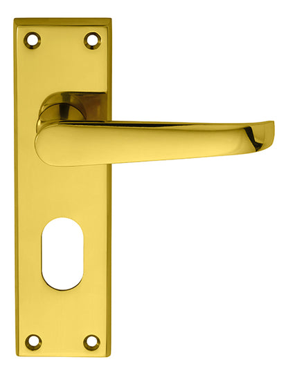 Victorian Lever on Backplate