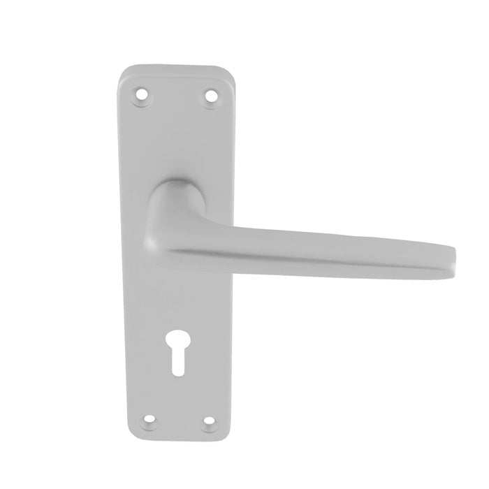 Aluminium Lever on Lock Backplate