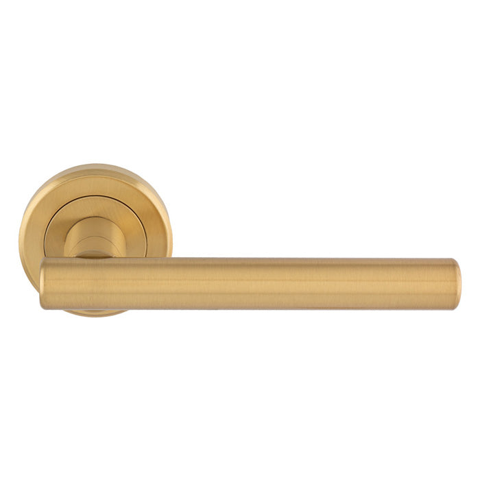 Philadelphia Lever On Rose