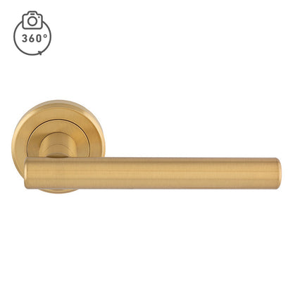 Philadelphia Lever On Rose