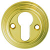 Polished Brass